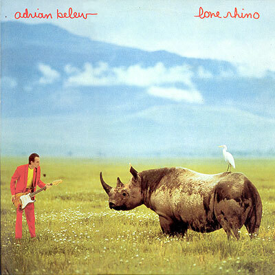 Lone Rhino Lone Rhino