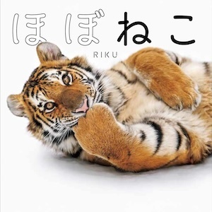 ほぼねこ ほぼねこ