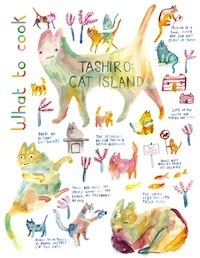 Cat Island Cat Island