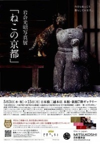 ねこの京都(岩合光昭写真展) ねこの京都(岩合光昭写真展)