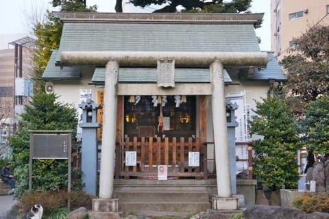 DSC00573X.jpg