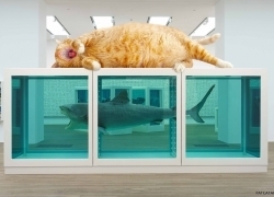Damien Hirst, The Physical Impossibility of Falling Down in the Mind of Someone Sleeping