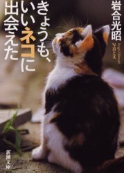 きょうも、いいネコに出会えた