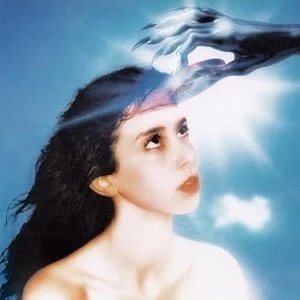 Imaginal Disc Imaginal Disc