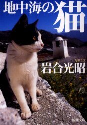 地中海の猫