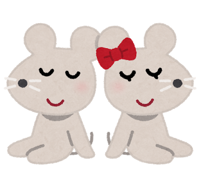 みすねずみ
