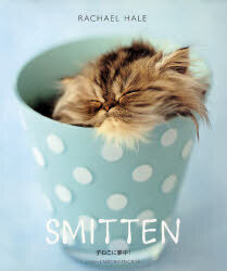 S M I T T E N ── 子ねこに夢中! S M I T T E N ── 子ねこに夢中!
