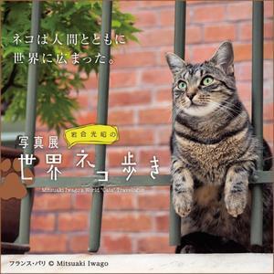 写真展 岩合光昭の世界ネコ歩き 写真展 岩合光昭の世界ネコ歩き